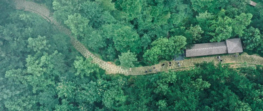 1713928423879741.jpg CE5062816A7BB2FB5365B3DE616_3965D7C3_22D49 (1).jpg